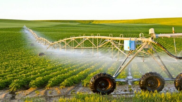 Supporting Local Agriculture: The Role Of Regional Equipment Suppliers